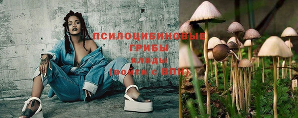 мяу мяу мука Алексеевка