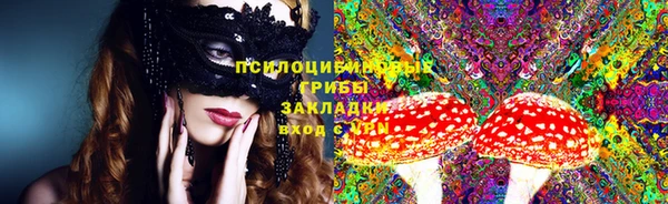 мяу мяу мука Алексеевка
