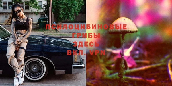 мяу мяу мука Алексеевка